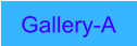 Gallery-A
