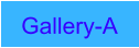 Gallery-A